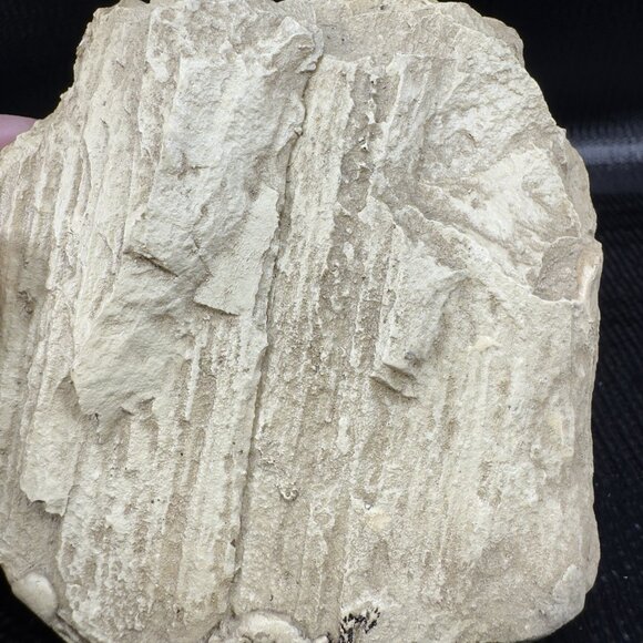 Trout Jumping Out Of The Water To Catch A Insect On Rock Style Resin Figurine - Picture 6 of 8